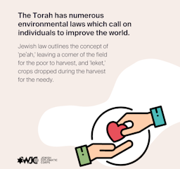 The Torah has numerous  environmental laws which call on individuals to improve the world.