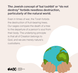 The Jewish concept of 'bal tashḥit' or “do not destroy” forbids needless destruction, particularly of the natural world. 