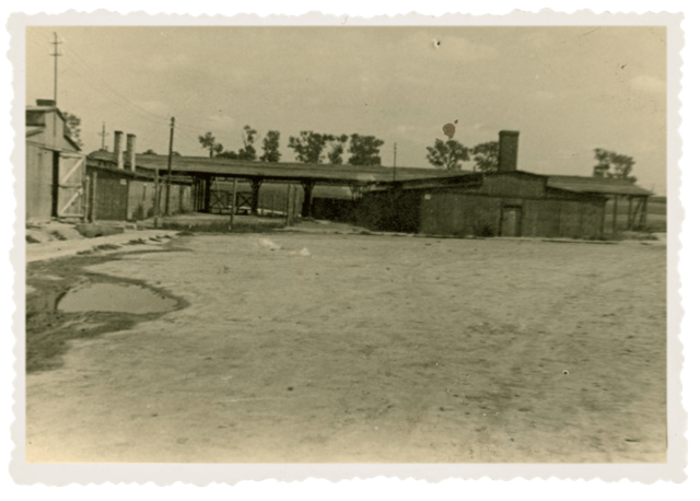 Majdanek 1 2 medium