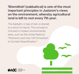 'Shemittah' (sabbatical) is one of the most important principles in Judaism’s views on the environment, whereby agricultural land is left to rest every 7th year.