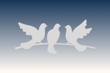 Doves International Conference