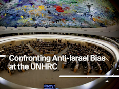 Ten Things to Know About the UNHRC