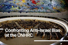 Ten Things to Know About the UNHRC