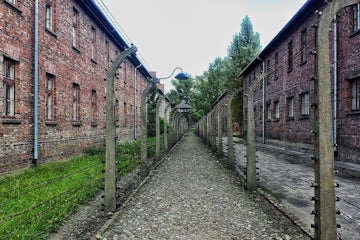 Return to Auschwitz and the courage of survivors, now and in the past | By Judit Illes