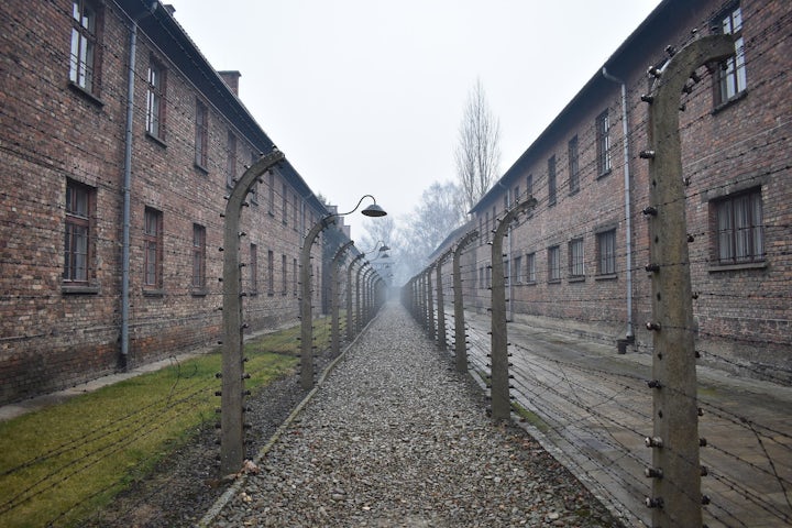 Holocaust Remembrance Day Only for Shoah, Urges Italian Jewish Community Head