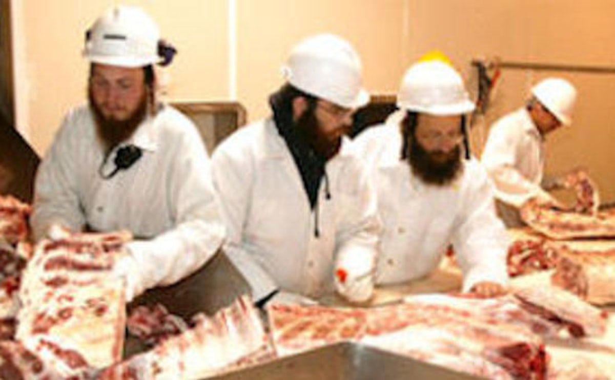 Dutch Jews and Muslims call on parliamentarians to reject proposed ban of ritual slaughter