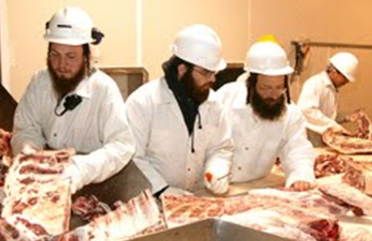 Dutch agreement on religious slaughter welcomed by Jewish group