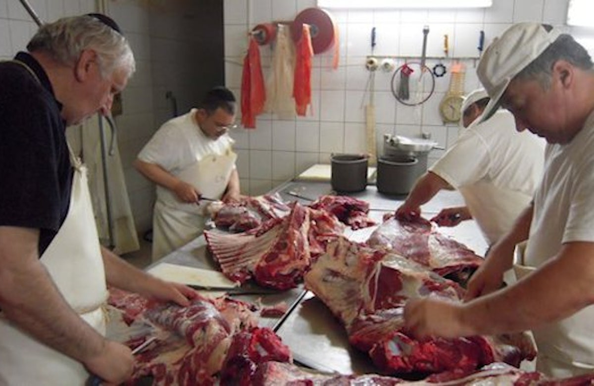 WJC expresses concern over call to ban kosher slaughter in Britain
