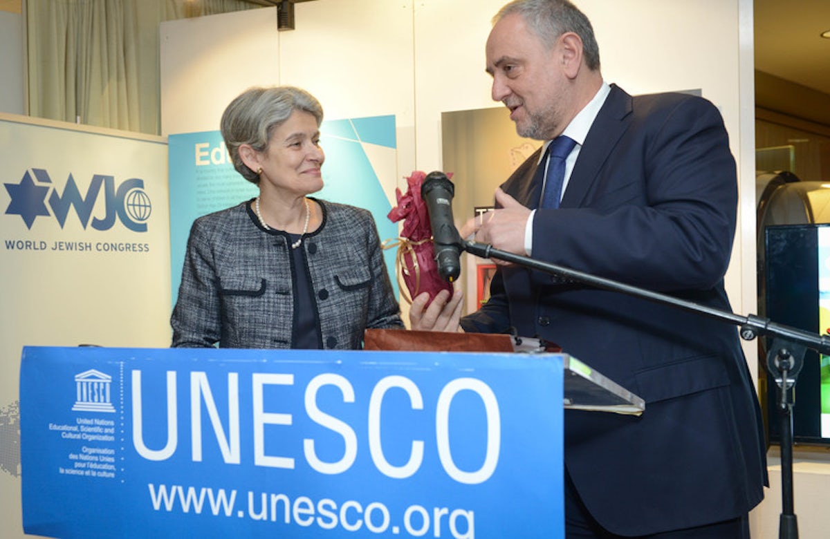 UNESCO chief Irina Bokova praises Israeli educational initiative in favor of hospitalized children