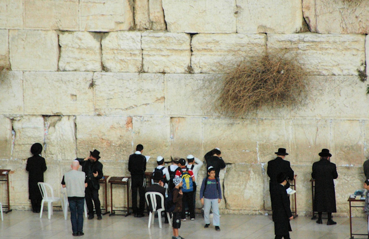 WJC warns UNESCO of adopting ‘another inflammatory, one-sided decision’ denying Jewish link to Jerusalem